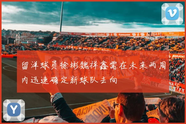 留洋球员徐彬魏祥鑫需在未来两周内迅速确定新球队去向